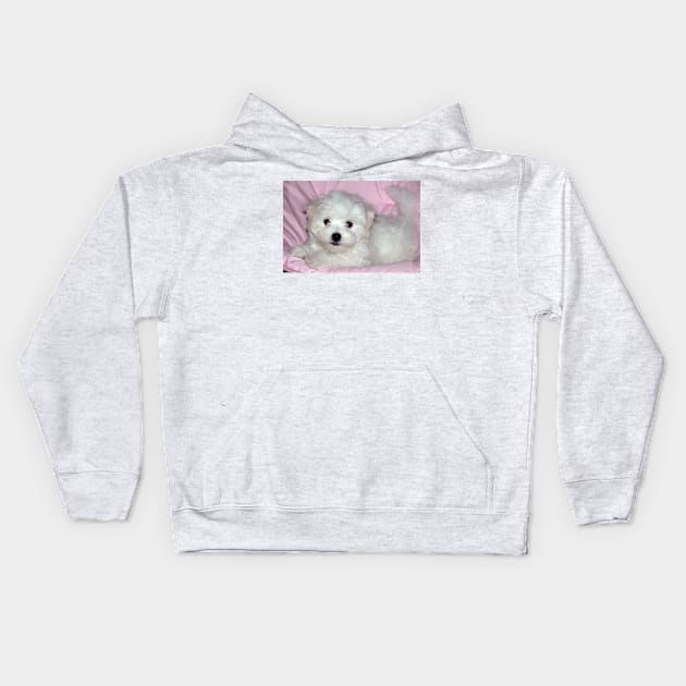 photo puppy pretty in pink Kids Hoodie by mystudiocreate